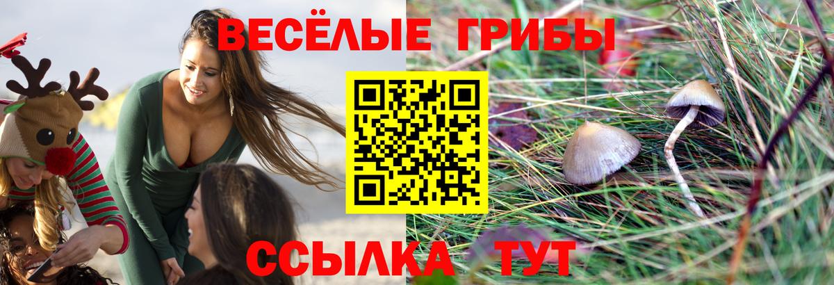 Великие Луки  Псилоцибиновые грибы прущие грибы  Вход с VPN 