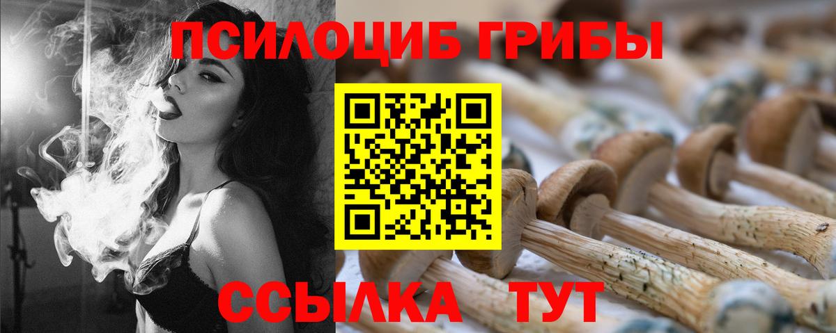 Галлюциногенные грибы Cubensis Великие Луки